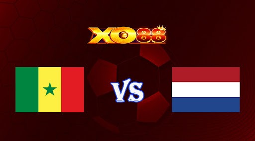 XO88 Nhận định soi Senegal vs Hà Lan 23h00 ngày 21/11/2022 - World Cup 2022